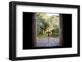 Pastel Pattern at Entrance Gate to Temple in Bagan, Myanmar-Harry Marx-Framed Photographic Print