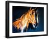 Pastel Portrait of a Brown Horse on a Cardboard. Modern Art-Ivailo Nikolov-Framed Art Print