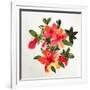 Pastel posy-Sarah Thompson-Engels-Framed Giclee Print