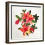 Pastel posy-Sarah Thompson-Engels-Framed Giclee Print