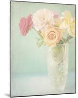 Pastel Roses-Shana Rae-Mounted Giclee Print