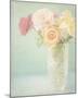 Pastel Roses-Shana Rae-Mounted Giclee Print