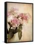 Pastel Roses-Jessica Jenney-Framed Stretched Canvas