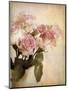 Pastel Roses-Jessica Jenney-Mounted Giclee Print