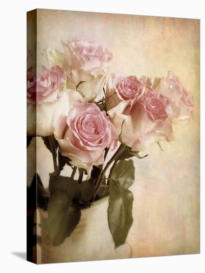 Pastel Roses-Jessica Jenney-Stretched Canvas