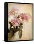 Pastel Roses-Jessica Jenney-Framed Stretched Canvas