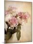 Pastel Roses-Jessica Jenney-Mounted Giclee Print