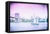 Pastel Series - New York City-Philippe Hugonnard-Framed Stretched Canvas