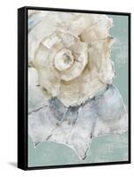 Pastel Shell I-Aimee Wilson-Framed Stretched Canvas