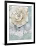 Pastel Shell I-Aimee Wilson-Framed Art Print