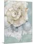 Pastel Shell I-Aimee Wilson-Mounted Art Print