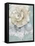 Pastel Shell I-Aimee Wilson-Framed Stretched Canvas