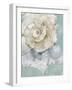 Pastel Shell I-Aimee Wilson-Framed Art Print
