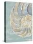 Pastel Shell II-Aimee Wilson-Stretched Canvas