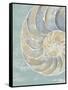 Pastel Shell II-Aimee Wilson-Framed Stretched Canvas