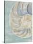 Pastel Shell II-Aimee Wilson-Stretched Canvas