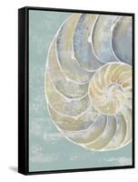 Pastel Shell II-Aimee Wilson-Framed Stretched Canvas