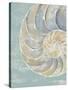 Pastel Shell II-Aimee Wilson-Stretched Canvas