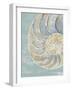 Pastel Shell II-Aimee Wilson-Framed Art Print