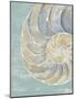 Pastel Shell II-Aimee Wilson-Mounted Art Print