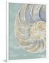 Pastel Shell II-Aimee Wilson-Framed Art Print