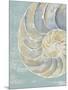 Pastel Shell II-Aimee Wilson-Mounted Art Print