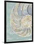 Pastel Shell II-Aimee Wilson-Framed Art Print