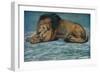 'Pastel Study of a Lion', c1900-John MacAllan Swan-Framed Giclee Print