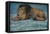 'Pastel Study of a Lion', c1900-John MacAllan Swan-Framed Stretched Canvas