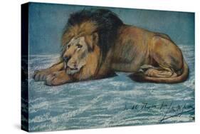 'Pastel Study of a Lion', c1900-John MacAllan Swan-Stretched Canvas