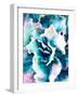 Pastel Succulent Beauty I-Irena Orlov-Framed Photographic Print