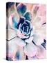 Pastel Succulent Beauty II-Irena Orlov-Stretched Canvas