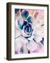 Pastel Succulent Beauty II-Irena Orlov-Framed Photographic Print