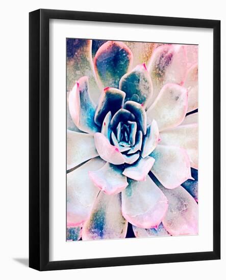 Pastel Succulent Beauty II-Irena Orlov-Framed Photographic Print