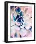 Pastel Succulent Beauty II-Irena Orlov-Framed Photographic Print