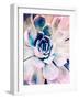 Pastel Succulent Beauty II-Irena Orlov-Framed Photographic Print