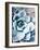 Pastel Succulent Beauty III-Irena Orlov-Framed Photographic Print