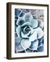 Pastel Succulent Beauty III-Irena Orlov-Framed Photographic Print