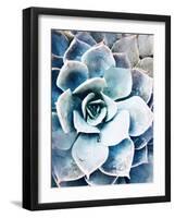 Pastel Succulent Beauty III-Irena Orlov-Framed Photographic Print