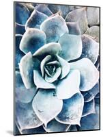 Pastel Succulent Beauty III-Irena Orlov-Mounted Photographic Print