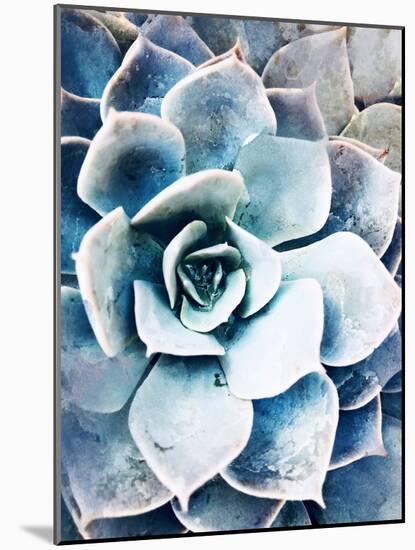 Pastel Succulent Beauty III-Irena Orlov-Mounted Photographic Print