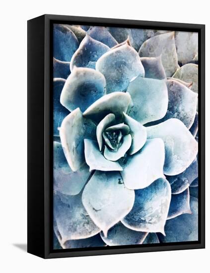Pastel Succulent Beauty III-Irena Orlov-Framed Stretched Canvas