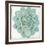 Pastel Succulent I-Aimee Wilson-Framed Art Print