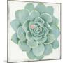 Pastel Succulent I-Aimee Wilson-Mounted Art Print