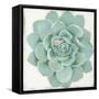 Pastel Succulent I-Aimee Wilson-Framed Stretched Canvas