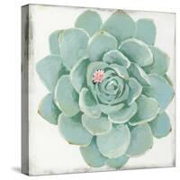 Pastel Succulent I-Aimee Wilson-Stretched Canvas