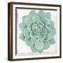 Pastel Succulent I-Aimee Wilson-Framed Art Print