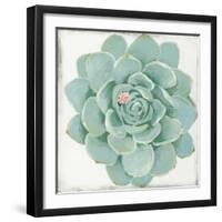 Pastel Succulent I-Aimee Wilson-Framed Art Print