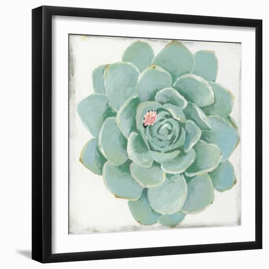 Pastel Succulent I-Aimee Wilson-Framed Art Print