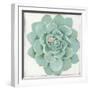 Pastel Succulent I-Aimee Wilson-Framed Art Print